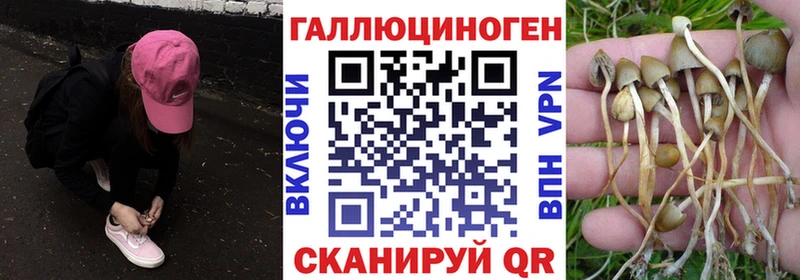 дарнет шоп  Ирбит  MEGA маркетплейс  Галлюциногенные грибы Psilocybine cubensis 